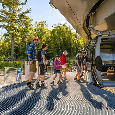 Les Chalets Du Massif De Charlevoix Petite-Riviere-Saint-Francois Ngoại thất bức ảnh